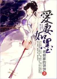 宠妻-爱妻如墨