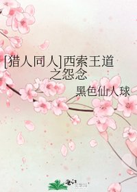[猎人同人]西索王道之怨念